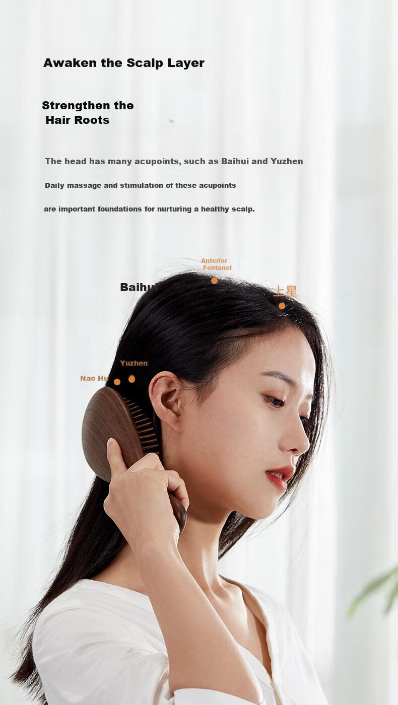 Chuxin Walnut Wood Comb, Air Cushion Comb, Massage Airbag Comb, Scalp Massage Comb, Gift Box, High-End Birthday Present, Premium Gift for Women, Wedding Gift, Mid-Autumn Festival Gift 3