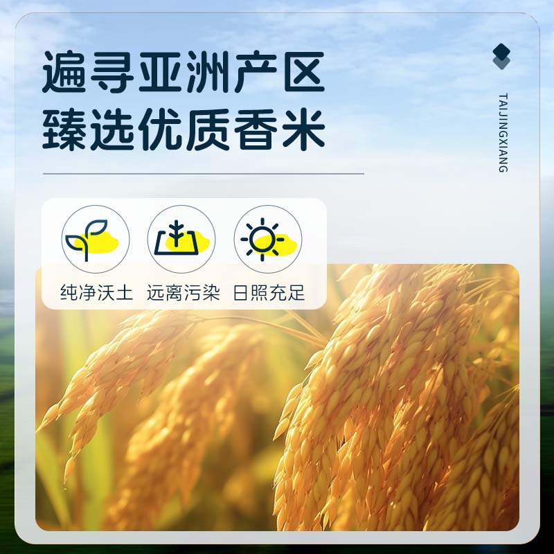 泰金香 臻选茉莉香米 大米10kg 长粒米 香米 大米20斤家庭装
