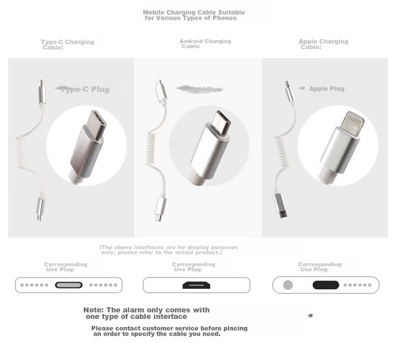 LFang Tablet Anti-Theft Display Stand, Anti-Theft Alarm, Tablet Computer Anti-Theft Chain with Type-C Interface, Large 1