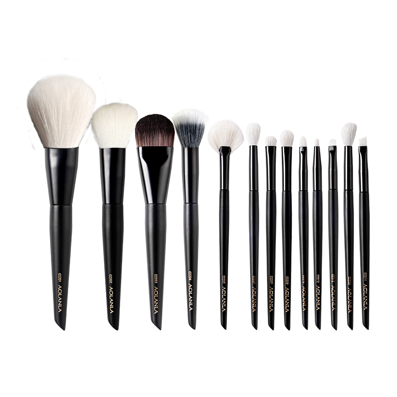 AOLANLA Master-Level Ink Shadow 13-Piece Makeup Brush Set, Foundation And Eyeshadow Brushes, Beauty Tools Gift Box, Birthday Present for Wife
