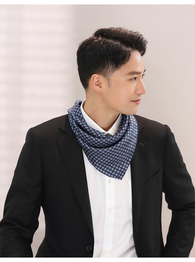Hangsilu Silk Scarf for Men, Business Casual Necktie, Birthday Gift for Retired Boyfriend Or Father, High-End Practical Present 5