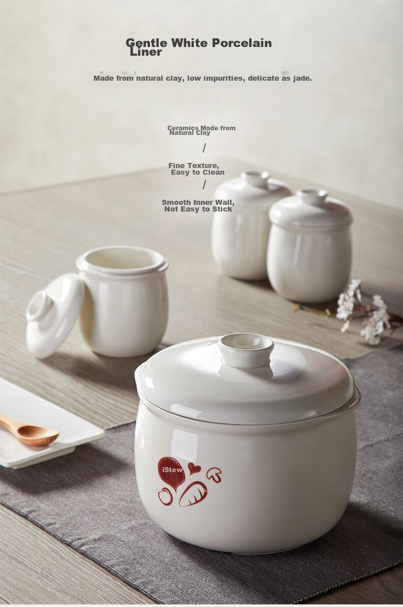 Bear Electric Slow Cooker, Soup Pot for 3-4 People, Stew Pot, Bird's Nest Cooking Pot, Soup Stewing Pot, Baby Food Cooker, DDZ-C25X6 4L with Steamer Basket 16