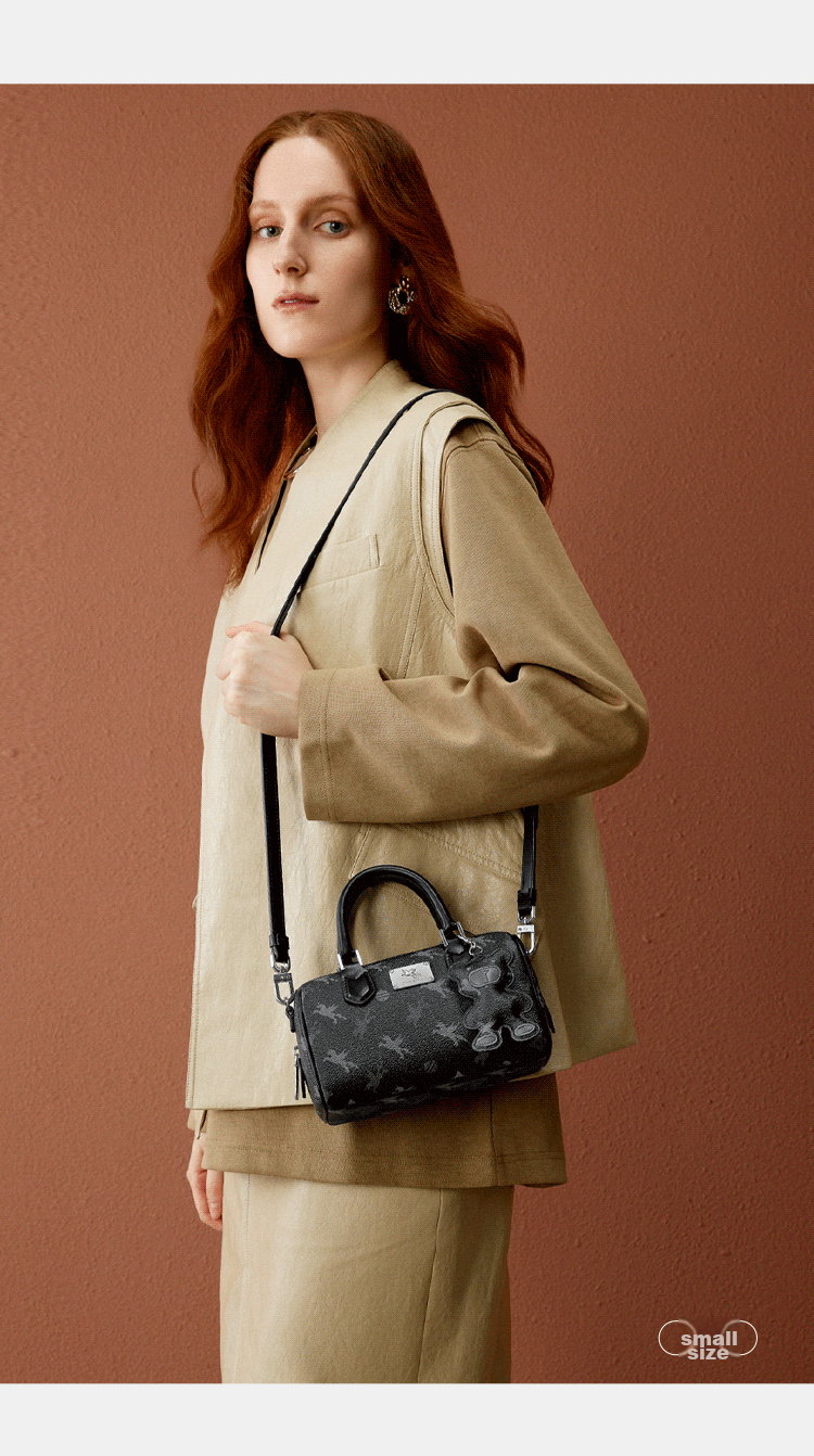 NUCELLE Pegasus Boston Handbag, 2026 New Light Luxury Niche Tote Crossbody Women's Bag, Birthday Gift for Girls 22