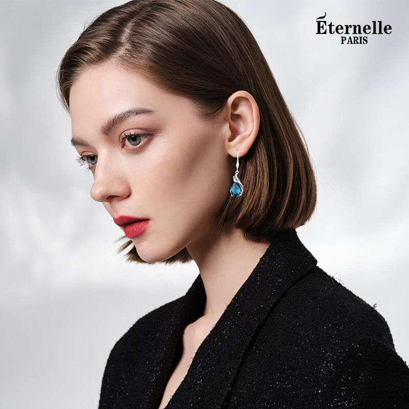 Eternelle French Eternal European-Style Earrings, 925 Silver Hoop, Elegant Fashion Light Luxury Women's Ear Jewelry, Birthday Gift