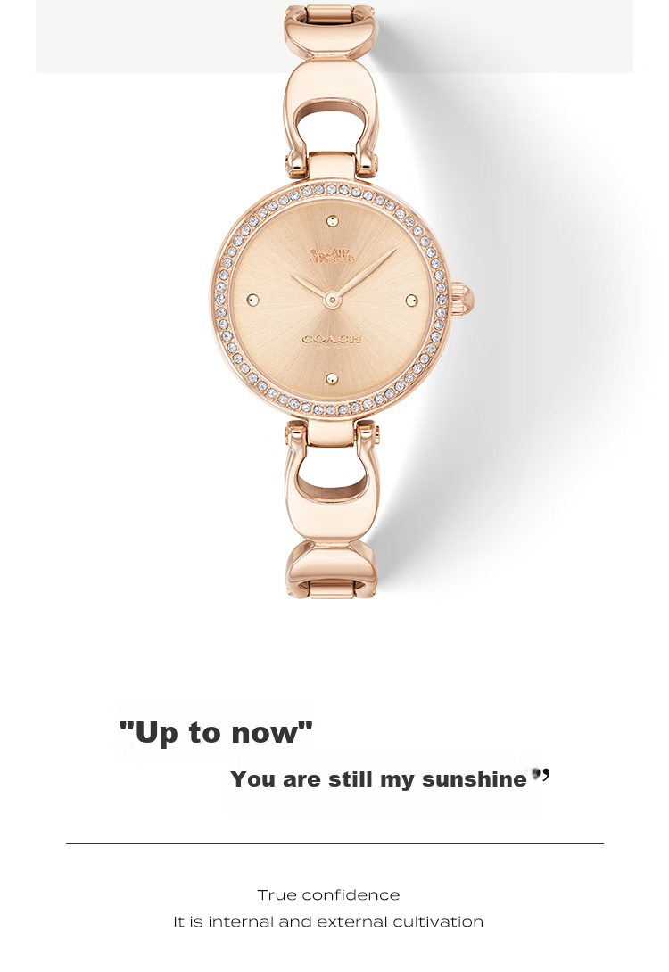 COACH PARK Series Bracelet-Style Steel Band Quartz Women's Watch 14503172, Recommended by Kong Xue'er, Gift/giving 6
