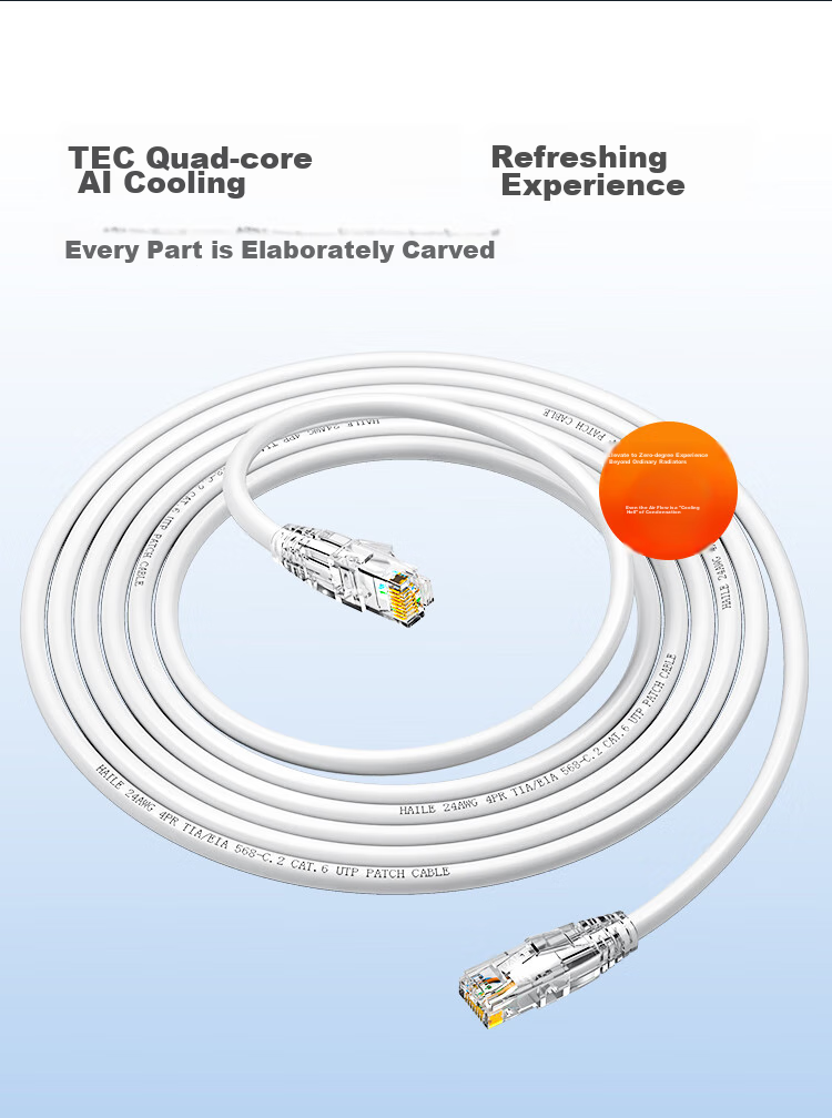 HAILE, Category 6 Pure Copper Network Cable, Gigabit High-Speed Broadband Line, Category 6 Home Computer Router Monitoring Cable, 8-Core Twisted Pair Patch Cord, Black, 2 Meters, HT-513H 10