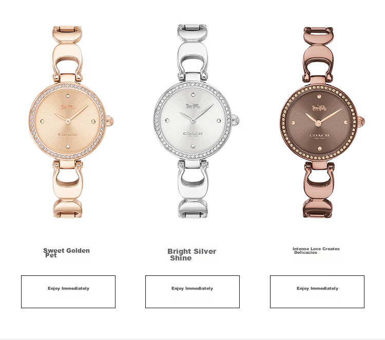 COACH PARK Series, Leather Strap Quartz Women's Watch, 14503456, Gift/giving 11