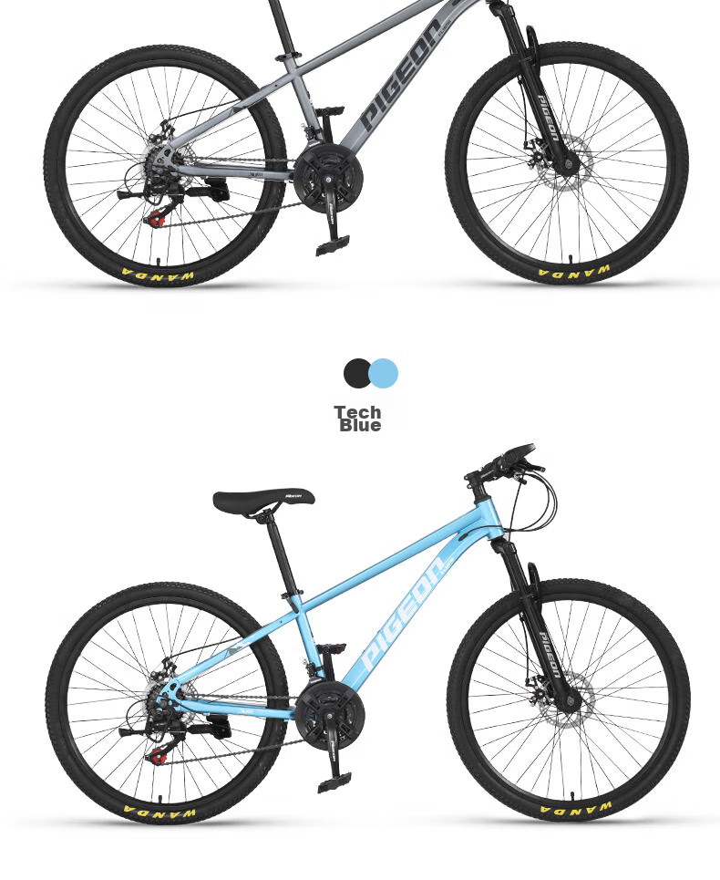 FG FLYING PIGEON Bicycle for Older Children, 21-Speed Mountain Bike, Youth Shock-Absorbing Bicycle, Student Pedal Bike, 26-Inch, Gray 21