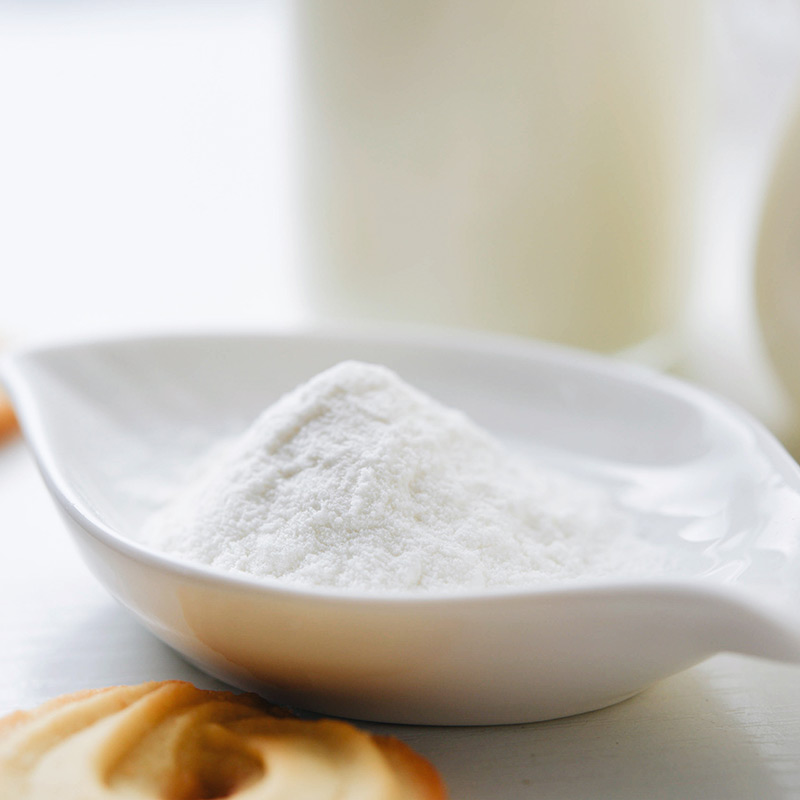 百钻安琪酸奶发酵菌2菌型家用自制酸奶发酵菌粉发酵剂乳酸菌种1g*10包