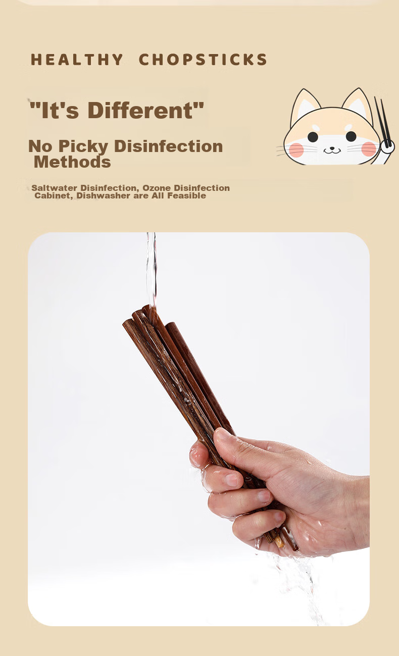 Tangzongkuai Children's Chopsticks Set of 6 Pairs, Training Chopsticks for Toddlers And Kids 3-12 Years Old, Unvarnished Wooden Tableware Set 5