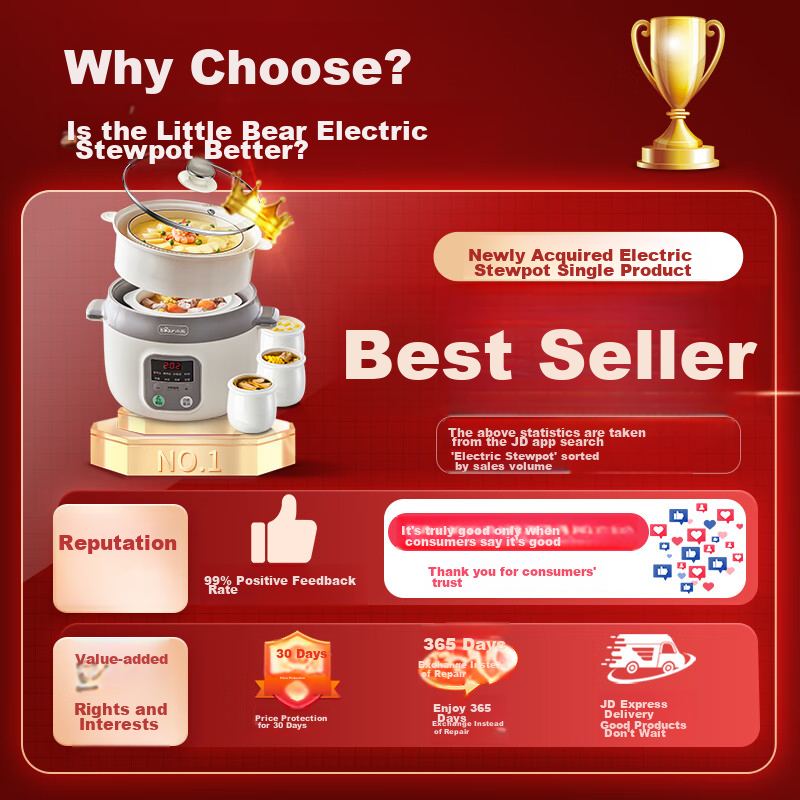 Bear Electric Slow Cooker, Soup Pot for 3-4 People, Stew Pot, Bird's Nest Cooking Pot, Soup Stewing Pot, Baby Food Cooker, DDZ-C25X6 4L with Steamer Basket