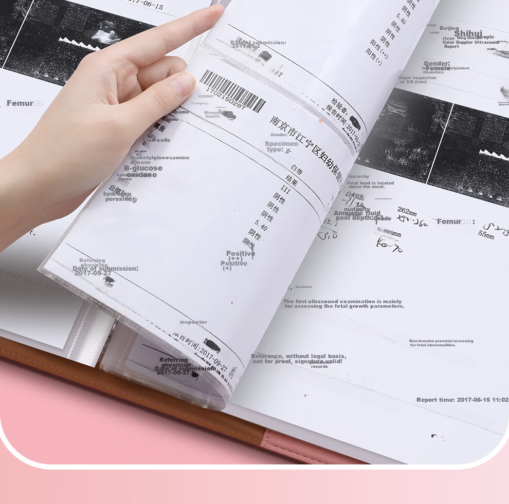 Jiaranheng Horse Year Handheld Pregnancy Check-Up Organizer, Prenatal Report Form, Maternity Pregnancy Record Book, Ultrasound Examination Form, File Folder, Large Capacity Collection Book, Pink 15