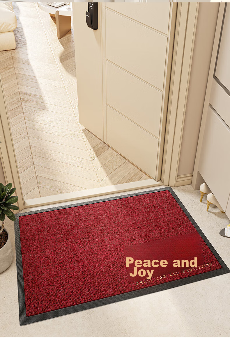 Boneng Safe Entry And Exit Doormat, High-End Entrance Mat, 2026 New Style Foot Mat, Doorway Entrance Mat, 60x90cm 14