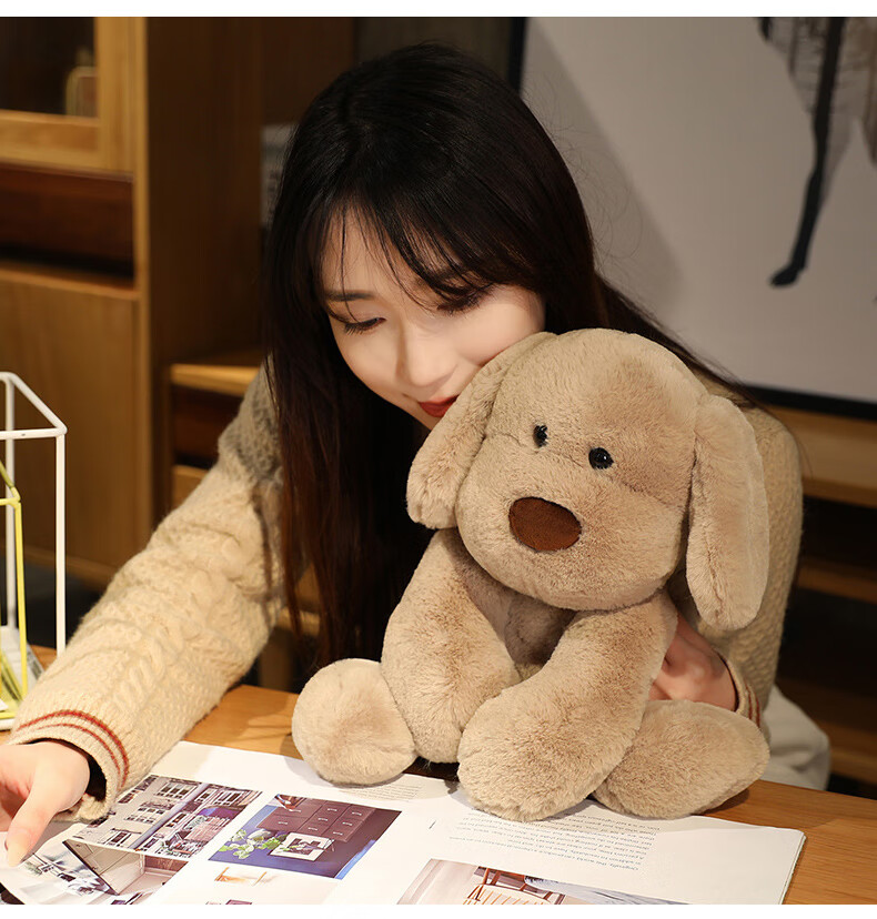 Beishangxing Plush Toy Hugging Dog Doll Stuffed Animal Puppy Sleeping Pillow Doll Gift for Boys And Girls, Birthday Present for Girls 5