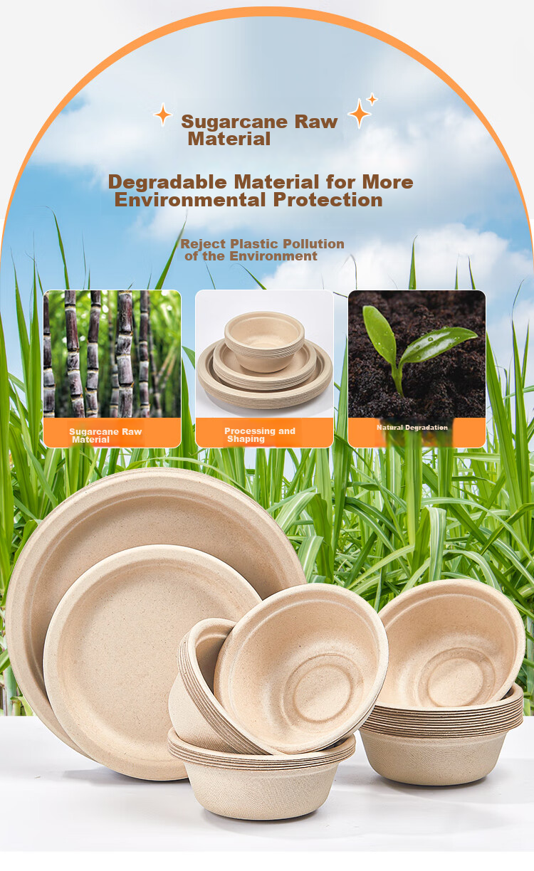 SHUANG YU Sugarcane Pulp Paper Plates, Bowls, Disposable Tableware, Waterproof And Oil-Resistant, Natural Color, Biodegradable Round Plates, 9 Inches, Pack of 20 3