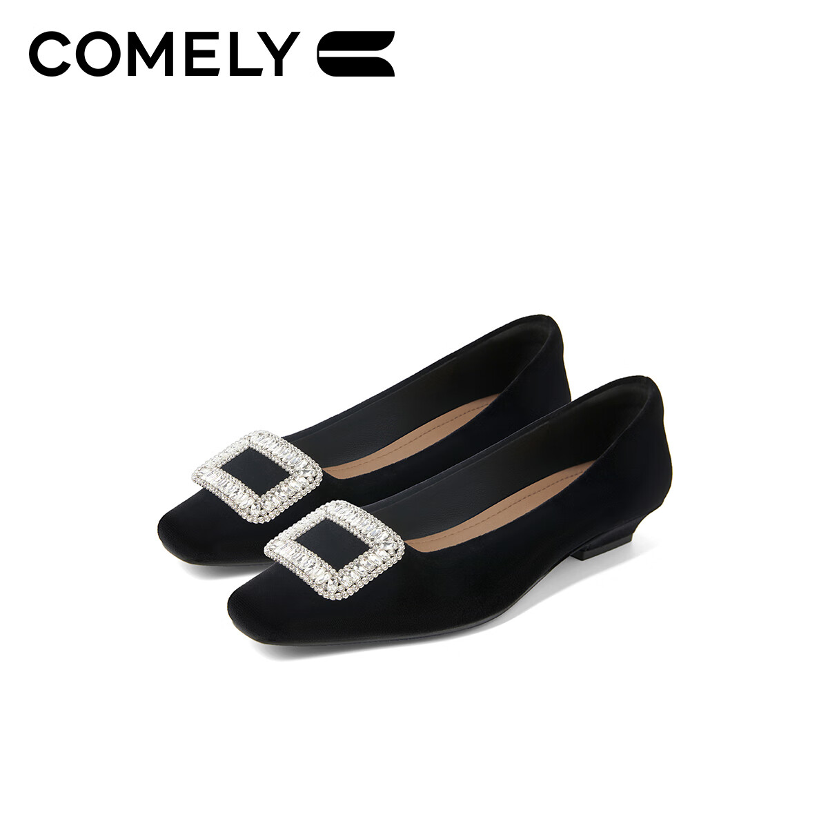 COMELY Rhi-01247760