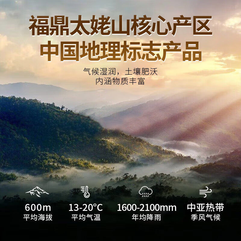 传奇会茶叶福鼎白茶2021年老白茶寿眉茶饼大份实惠自己喝500g送礼