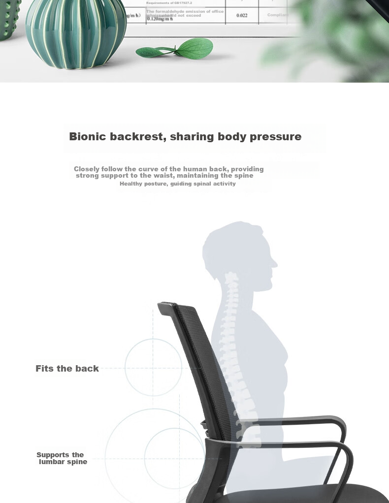 Deli Office Chair Small T, Simple Lumbar Support, Ergonomic Computer Chair, Staff Mesh Chair, 4901T 4