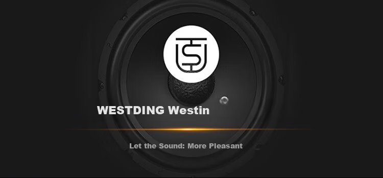 WESTDING Amplifier for Home Theater with Speaker Combination, 2.0 Channel, 1200W Peak Power, AK-393 Amplifier, One Unit 1