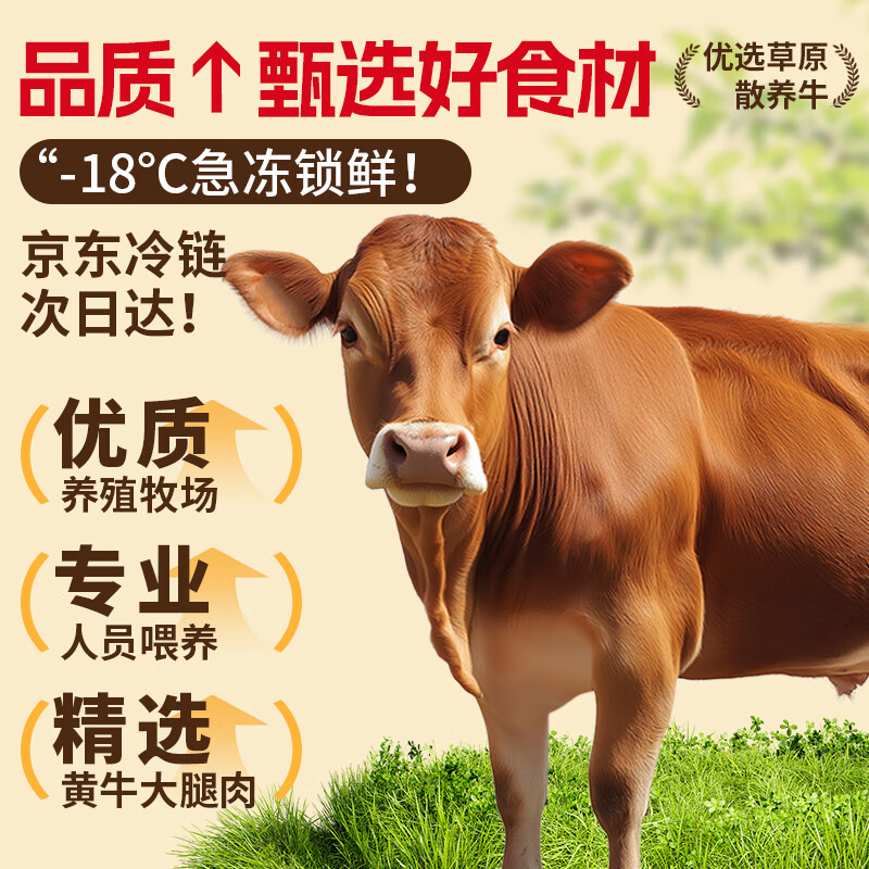 潮味码头潮汕手打牛筋丸250g 牛肉含量≥95%纯手打火锅烧烤食材空气炸锅