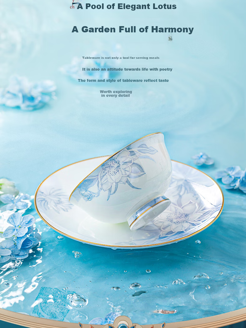 Luowei Jingdezhen Ceramic Dinnerware Set, Housewarming Bowl And Plate Set, Luxury High-End Feel for Home Use, 62-Piece Set 4