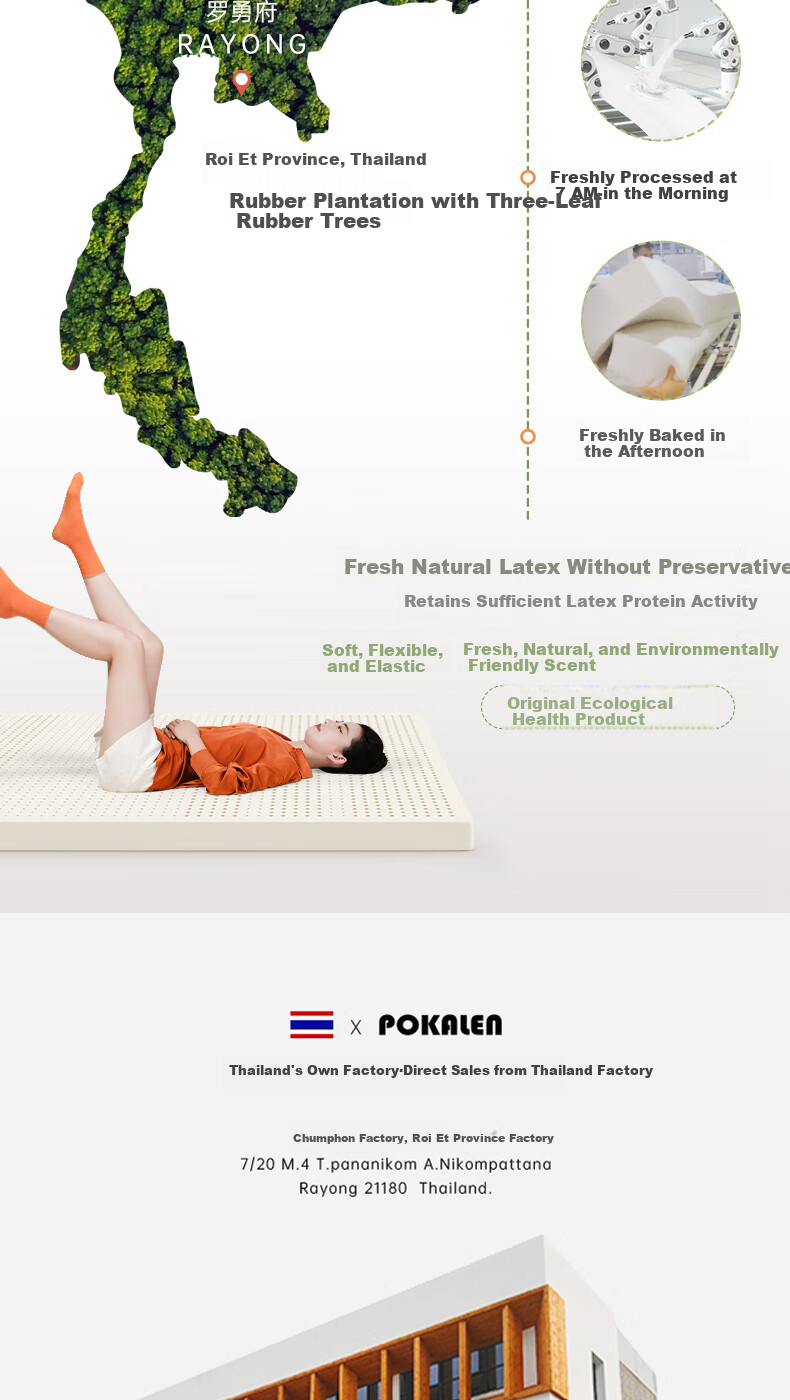 POKALEN Thai Natural Latex Mattress, Made in Thailand, Original Import, 95% Pure Natural High Content 6