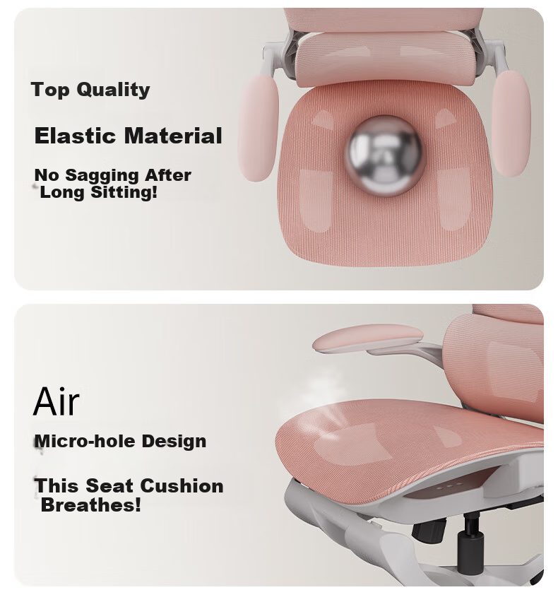 Hbada P2Pro Ergonomic Chair, Computer Chair, Ergonomic Seat, Office Study Gaming Chair, Desk Chair 19