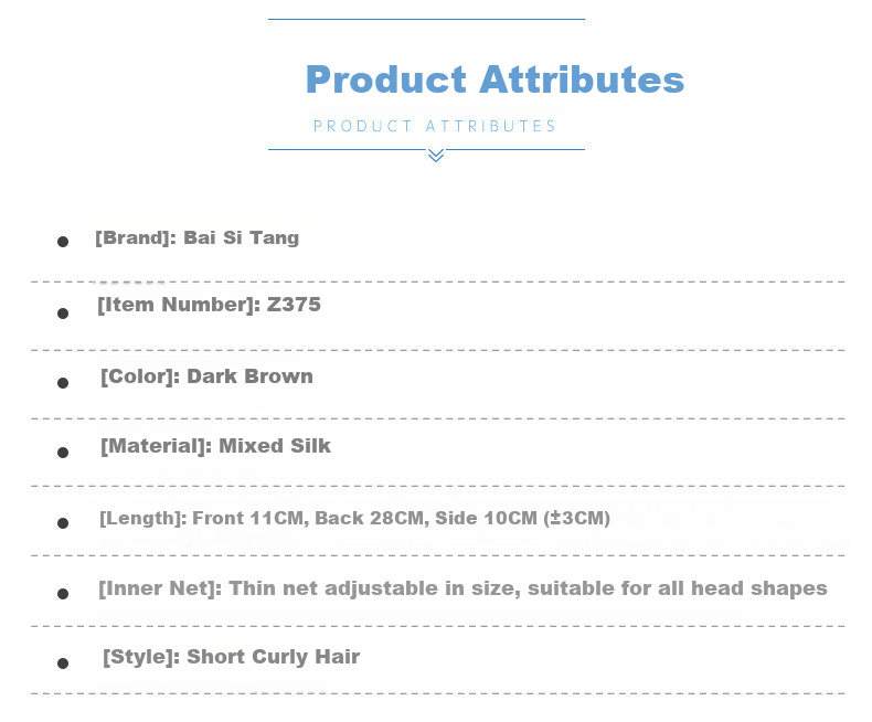 Baisitang Women's Short Wig Full Head Covering Short Curly Hair Wig for Middle-Aged And Elderly Mothers, One Size Fits All (Dark Brown) 2