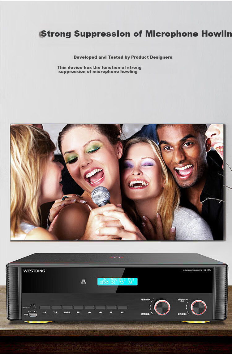 WESTDING Amplifier for Home Theater with Speaker Combination, 2.0 Channel, 1200W Peak Power, AK-393 Amplifier, One Unit 7