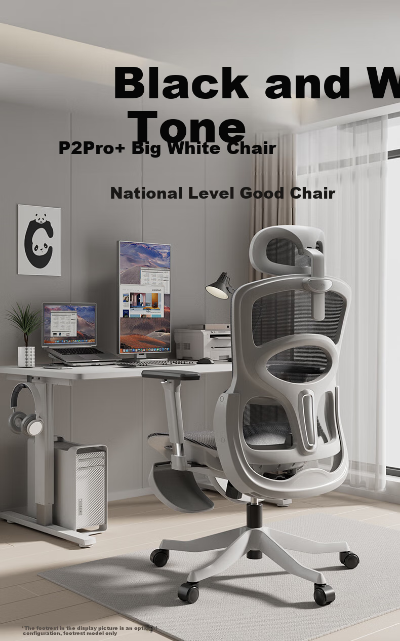 Hbada P2Pro+ Ergonomic Chair, Computer Chair, Office Gaming Chair, Biomechanical Seat with Adjustable Depth 3