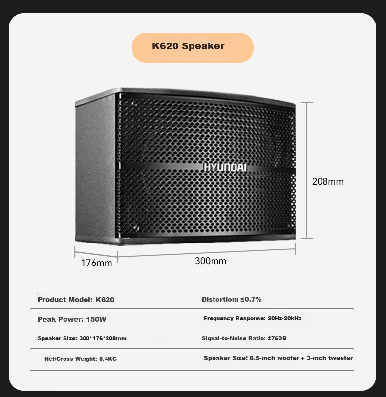 HYUNDAI Home Theater KTV Sound System Set, Professional Amplifier for Living Room, Conference Room, Karaoke, Complete Package with Speakers And Equipment for Shops And Karaoke Venues 9