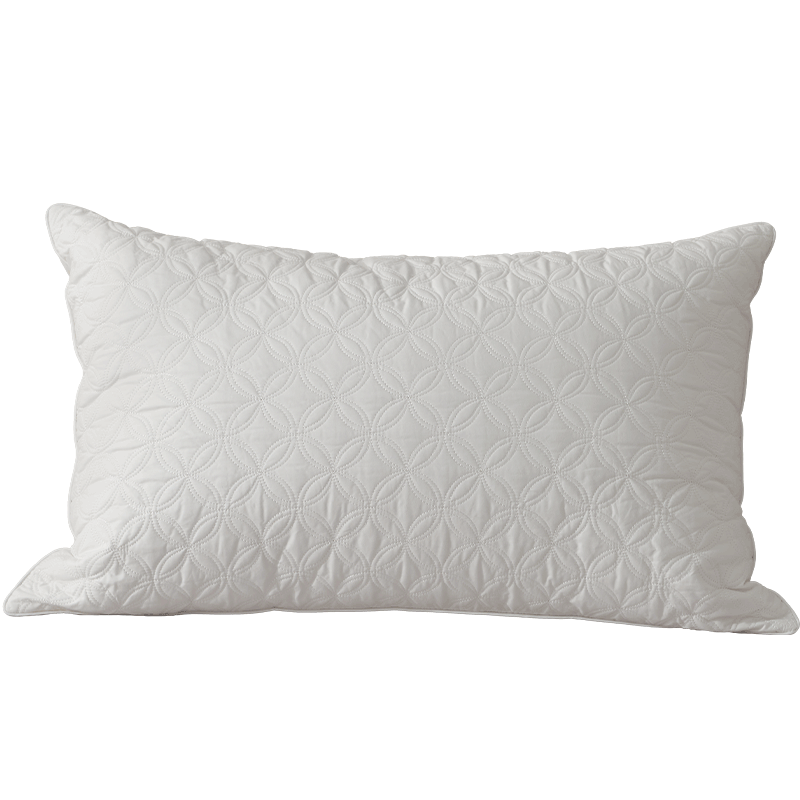 Bailisi Shuixing Jiafang Brand Pillow, Hotel Neck Pillow for Adults, Sleeping-Specific, All-Cotton, Antibacterial, Anti-Mite, Double Pillow, Low Profile