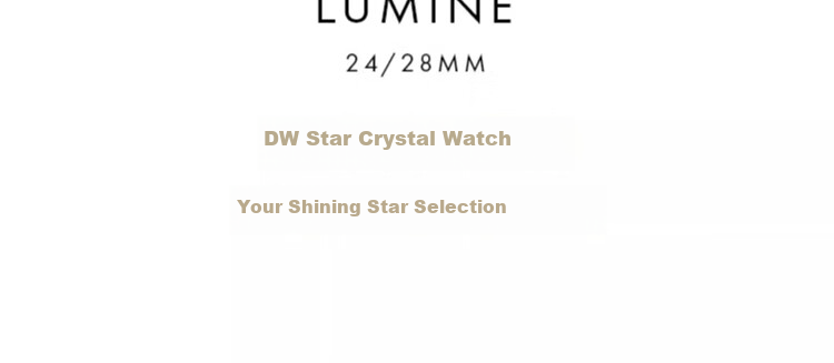 Daniel Wellington DW Women's Watch Light Luxury Golden Minimalist Quartz European and American Style Wristwatch Birthday Gift for Girlfriend DW447 2