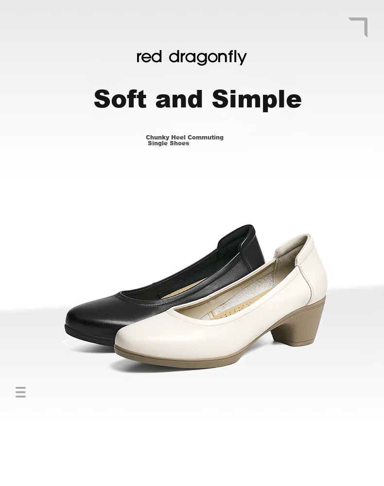 RED DRAGONFLY Chunky Heel Women's Shoes, Spring Commute Professional Leather Shoes, Soft-Soled Women's Shoes WBB15203, Black, Size 36 1