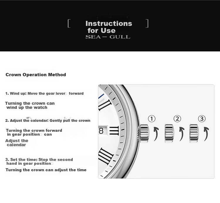 SEAGULL Automatic Mechanical Watch for Men, Simple Calendar Men's Watch, Birthday Gift for Men, National Watch 819.13.1054 18