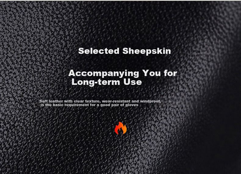 RED DRAGONFLY Genuine Leather Gloves for Women, Winter Riding Warmth, Motorcycle Windproof Water-Resistant, Fleece-Lined Thickened Touchscreen Lambskin Gloves 2