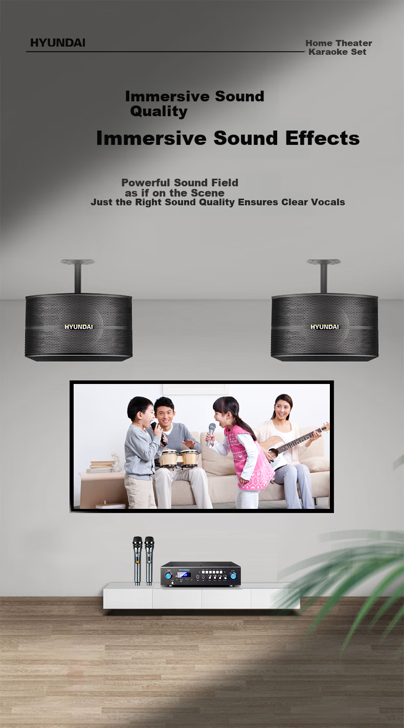 HYUNDAI Home Theater KTV Sound System Set, Professional Amplifier for Living Room, Conference Room, Karaoke, Complete Package with Speakers And Equipment for Shops And Karaoke Venues 3