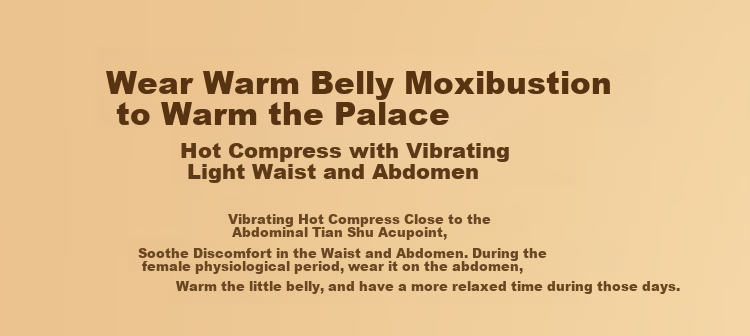 Breo Abdominal Massager, Stone Massage Device for Belly And Waist, Uterus Warming Belt, Automatic Kneading, Temperature-Sensitive Heating Pad, Birthday Gift, Mid-Autumn Festival Gift for Parents 13