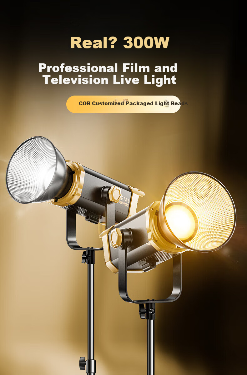 Jimantu Live Streaming Fill Light 300W Professional COB Photography Light, Indoor Studio Shooting Live Stream Room Spherical Light, Deep Mouth Parabolic Softbox, Video Shooting Sunlight Lamp 2