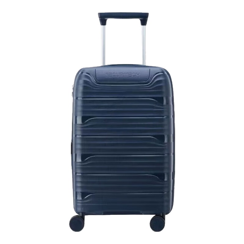 DELSEY French Ambassador Luggage Suitcase with Password Lock, SECURITECH Large Capacity Travel Case