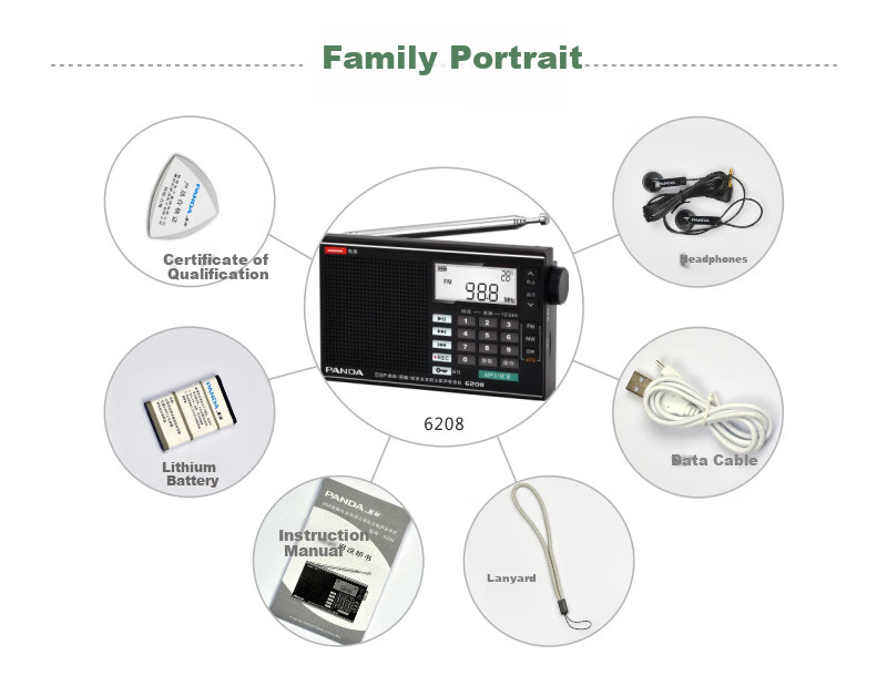 Panda 6218 Portable Bluetooth Radio, Full Bandwidth Stereo, Multifunctional Semiconductor Car Backup, Gift for Elderly 10