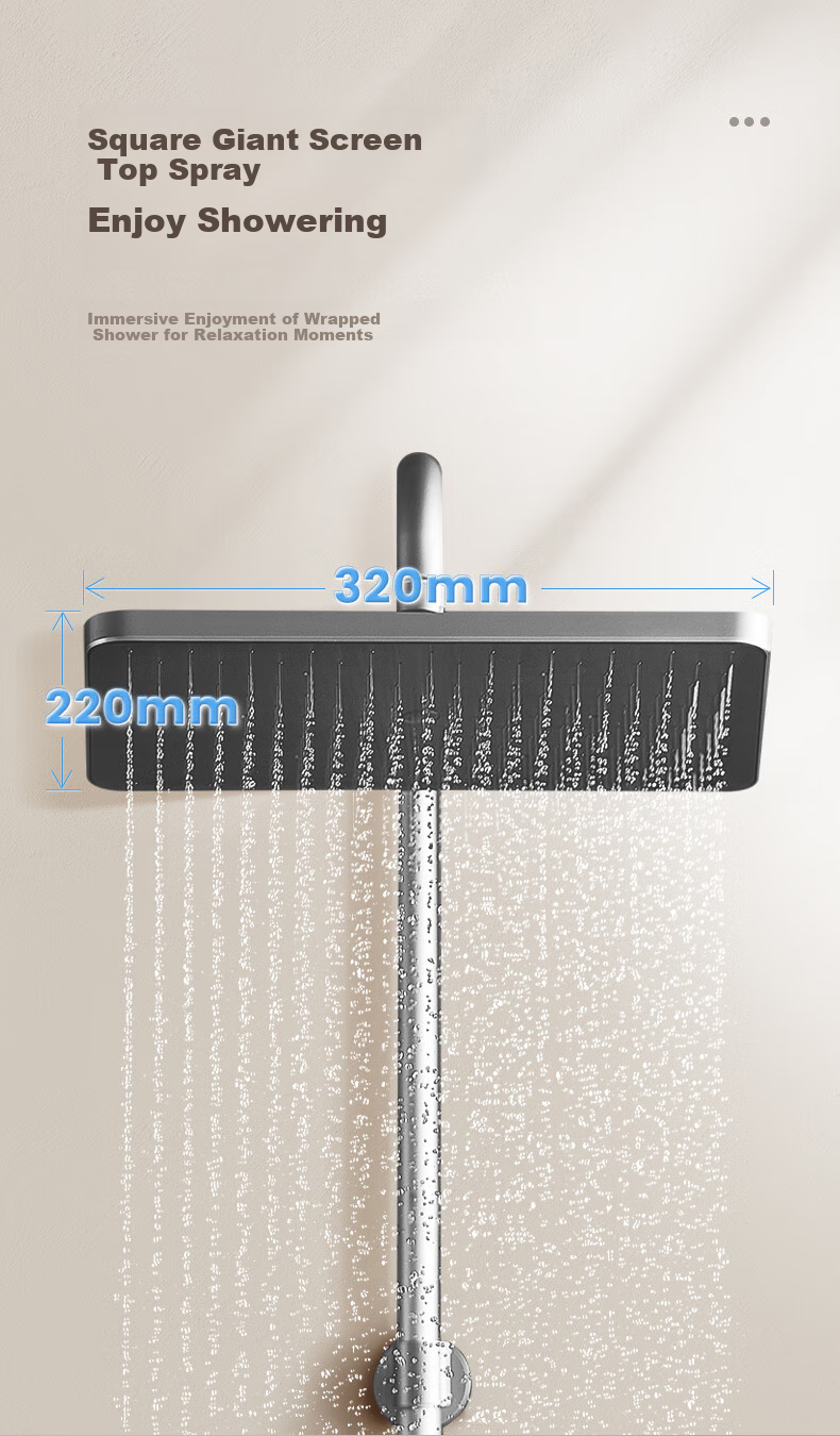 HEGII Shower Set S3, Descaling Self-Cleaning Top Spray Head, Large Storage Shelf, Bathroom Bathing, HMF936-333 10