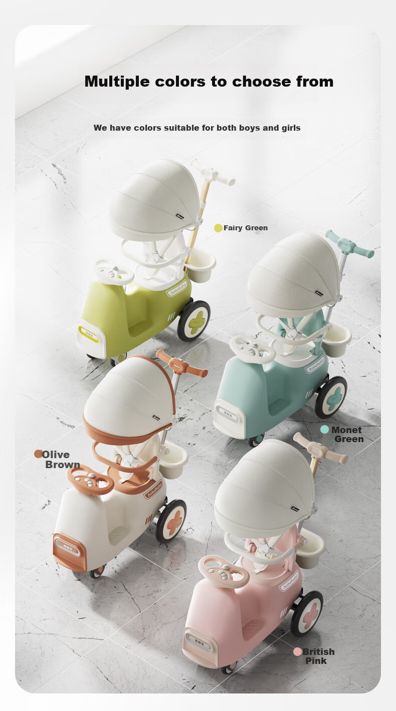 Bebehaha Baby Stroller, Rocking And Walking Aid, Two-In Children's Pushchair, for Ages 1-5, Monet Gree 13