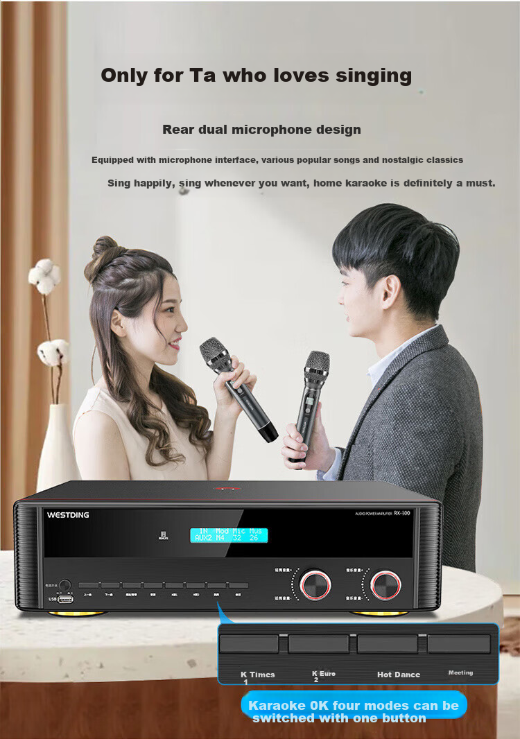 WESTDING Amplifier for Home Theater with Speaker Combination, 2.0 Channel, 1200W Peak Power, AK-393 Amplifier, One Unit 10