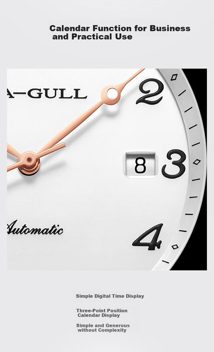SEAGULL Automatic Mechanical Watch for Men, Simple Calendar Men's Watch, Birthday Gift for Men, National Watch 819.13.1054 25