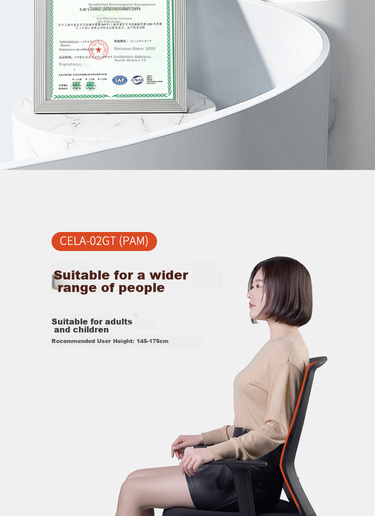 AURORA CELA02 Office Chair, Computer Chair, Ergonomic Chair, Breathable Chair, Home Swivel Chair, Height Adjustable Seat 2