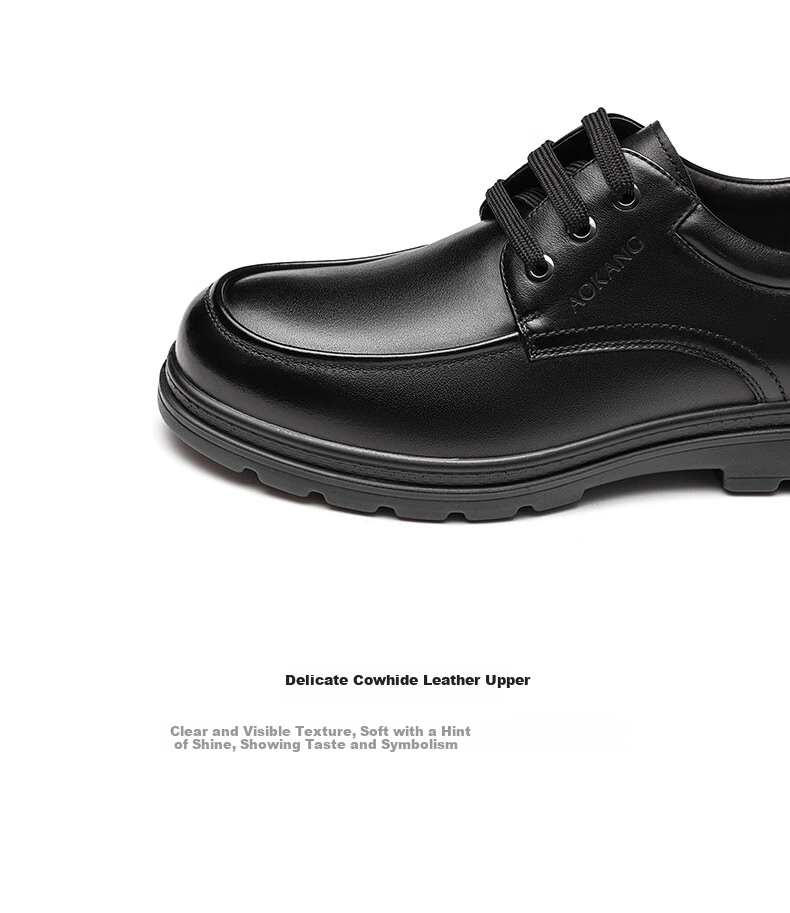 Aokang Men's Shoes with Fleece Lining, Warm Business Leather Shoes, Lace-Up Comfortable Casual Formal Shoes, Black Fleece Style, Size 42 7