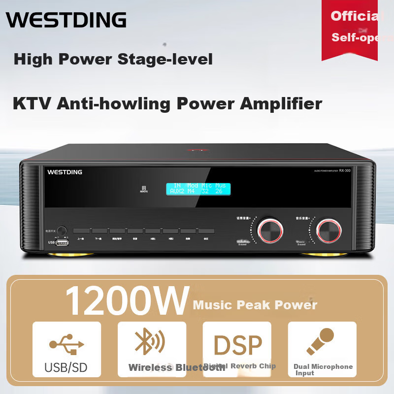 WESTDING Amplifier for Home Theater with Speaker Combination, 2.0 Channel, 1200W Peak Power, AK-393 Amplifier, One Unit