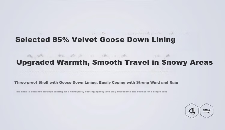 CAMEL Goose down Three-In Waterproof Thickened Mountaineering Jacket A70723 Oak Gray, Women's Size L 3