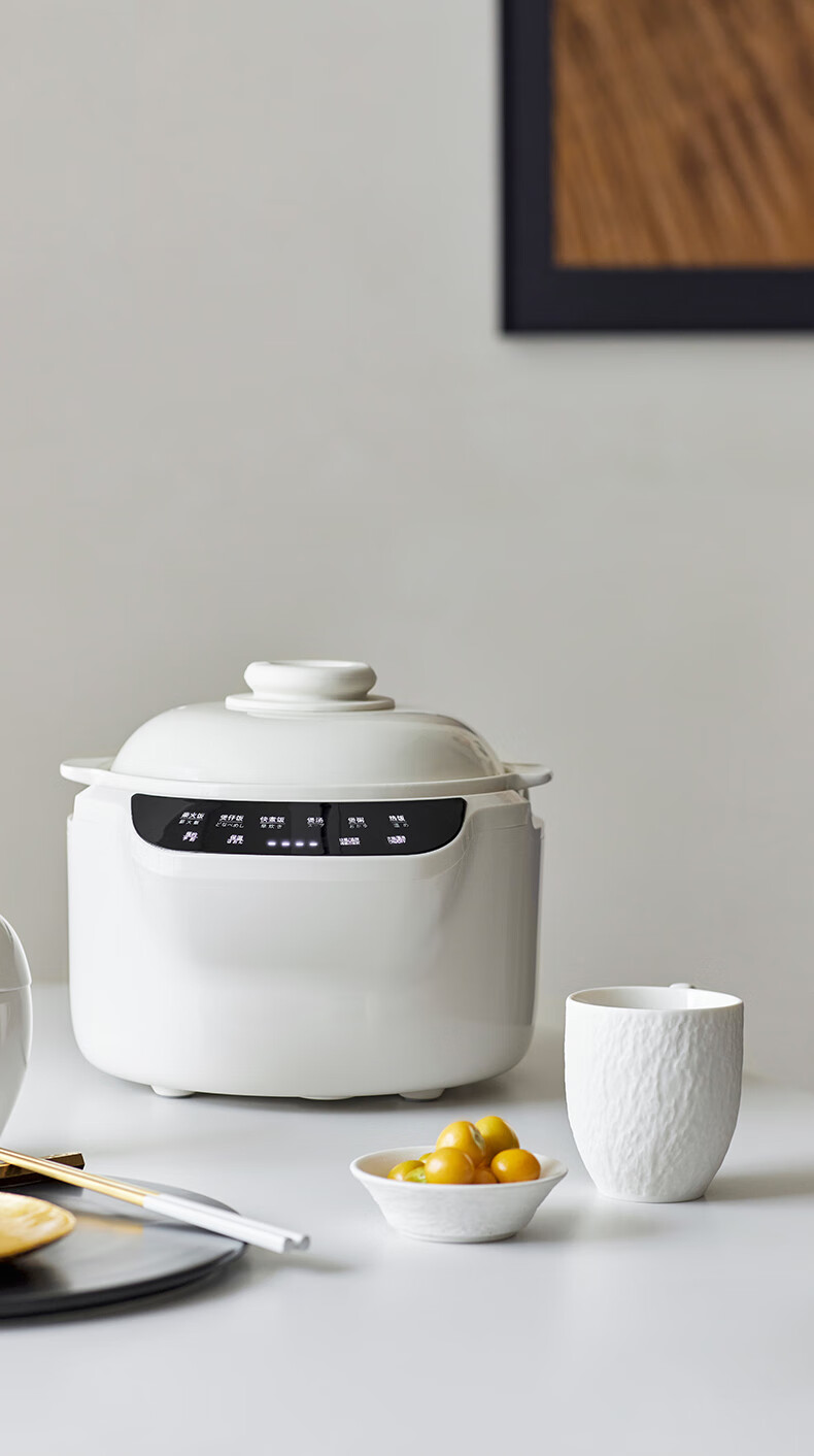 Olayks Ceramic Inner Pot Rice Cooker for 2-5 People, True Earthen Pot, No Coating, Smart Firewood Rice Cooker for Home Use, Claypot Rice Cooker, Soup Pot with Anti-Overflow Design, No Coating, 3L Capacity 2